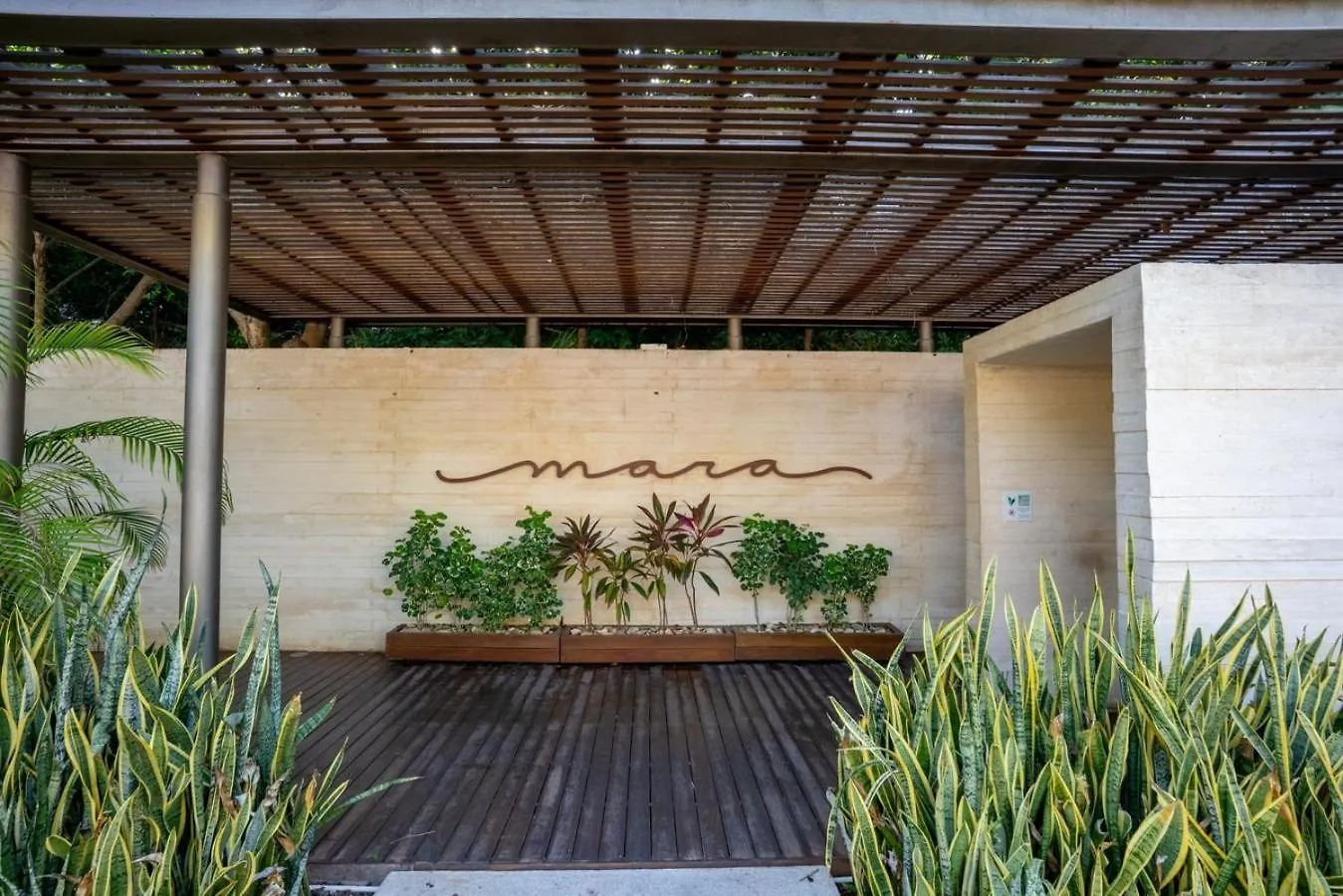 アパート 3Br Luxury Condo W/ Private Rooftop Pool & Gym プレヤデルカーメン メキシコ